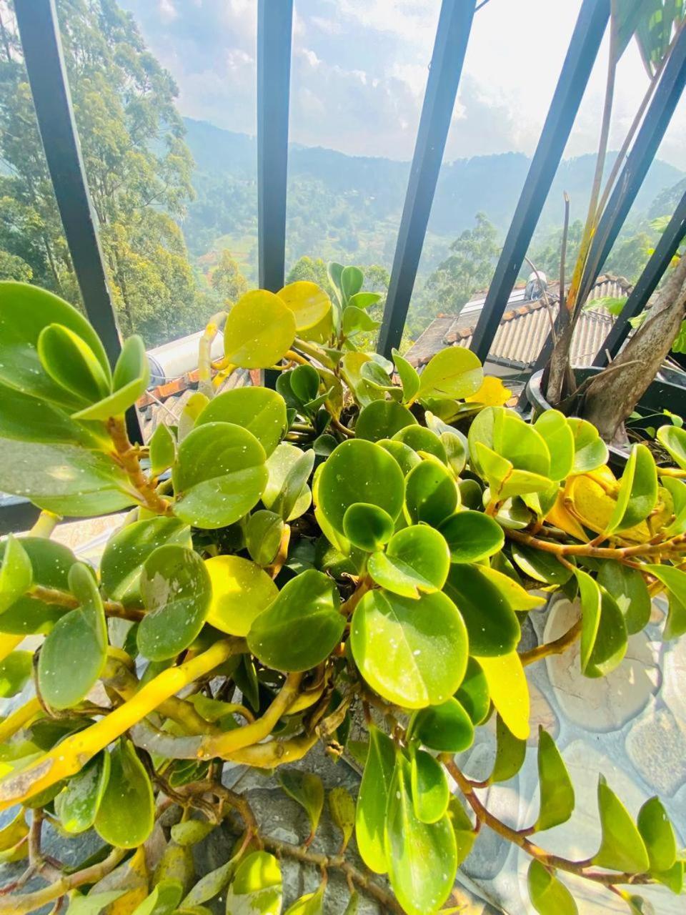 埃拉Pleasant Peak住宿加早餐旅馆 外观 照片